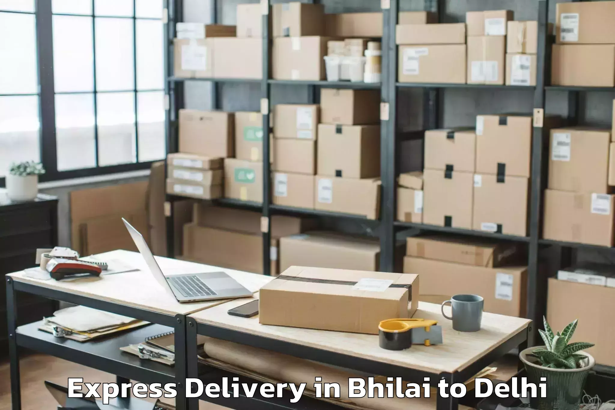 Book Your Bhilai to Vasant Square Mall Express Delivery Today